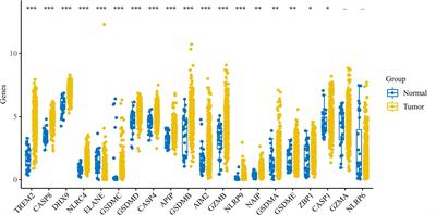 Investigating the Prognostic Significance of Pyroptosis-Related Genes in Gastric Cancer and Their Impact on Cells’ Biological Functions